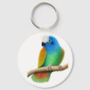 Search for parrot gifts Lovebird
