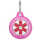 Search for dog training Paw