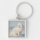 Search for refuges key rings Carnivore