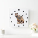 Search for jungle clocks Exotic
