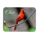 Search for birdwatcher magnets Birder