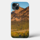 Search for mexico ipad cases Outdoors