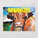 Search for highland cattle postcards Coo