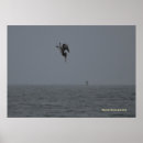 Search for diving posters Coast