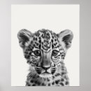 Search for leopard print baby kids Safari