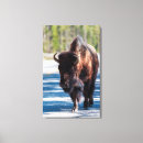 Search for yellowstone national park canvas prints Usa