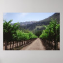 Search for napa posters Green