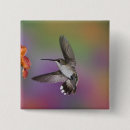 Search for ruby throated hummingbird badges Flight
