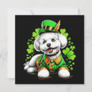 Search for leprechaun birthday invitations St patricks day