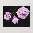 Search for dark pink rose postcards Flowers