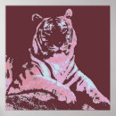 Search for pop tiger Bengal