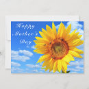 Search for sunflowers mothers day cards Summer