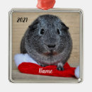 Search for chinchilla gifts Animal lover