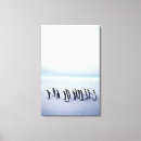 Search for penguin canvas prints Wildlife