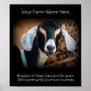 Search for breeder posters Farm