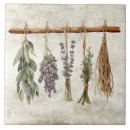 Search for dri Rustic