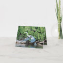 Search for bird man cards Blue