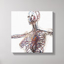 Search for female anatomy canvas prints Transparent