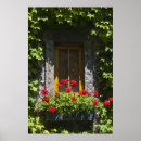 Search for geranium posters Window