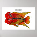 Search for cichlid posters Fish