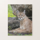 Search for panther puzzles Nature