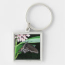 Search for black swallowtail butterfly key rings Nature