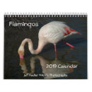 Search for flamingo calendars Nature