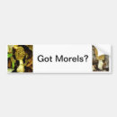 Search for mushroom bumper stickers Morel