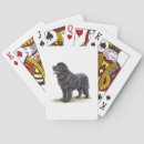 Search for newfoundland playing cards Dog
