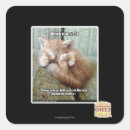 Search for rule square stickers I can has cheezburger