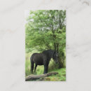 Search for mare business cards Animals
