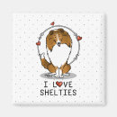 Search for sable magnets Sheltie