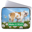 Search for fart cases Pet