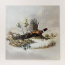 Search for pheasant puzzles Nature