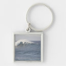 Search for north shore key rings Hawaii