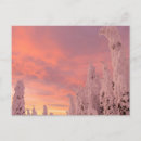 Search for big tree horizontal postcards Winter