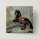 Search for horse riding badges Saddle