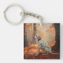 Search for dalmatian key rings Pet