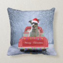 Search for rat cushions Pet