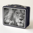 Search for photo lunch boxes Cool