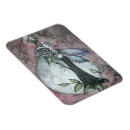 Search for fairie magnets For her
