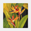 Search for art magnets Floral