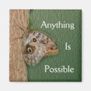 Search for butterfly magnets Motivational