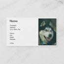 Search for dog boarding business cards Grooming