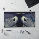Search for “parrot electronics For her