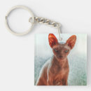 Search for sphynx cat key rings Kitten