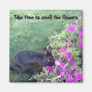 Search for smell magnets Motivational