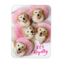 Search for tiara magnets Funny