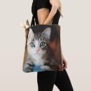 Search for bright eye bags Cat