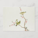 Search for ornithological postcards Qing
